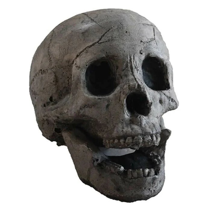 💀Heat Up Your Halloween with our Terrifying Human Skull Fire Pit - Limited Time Sale