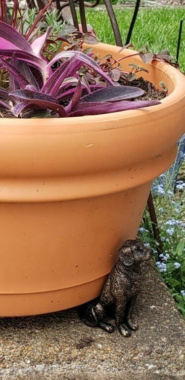 Elevate Your Plant Game with Potty Feet Plant Pot Feet