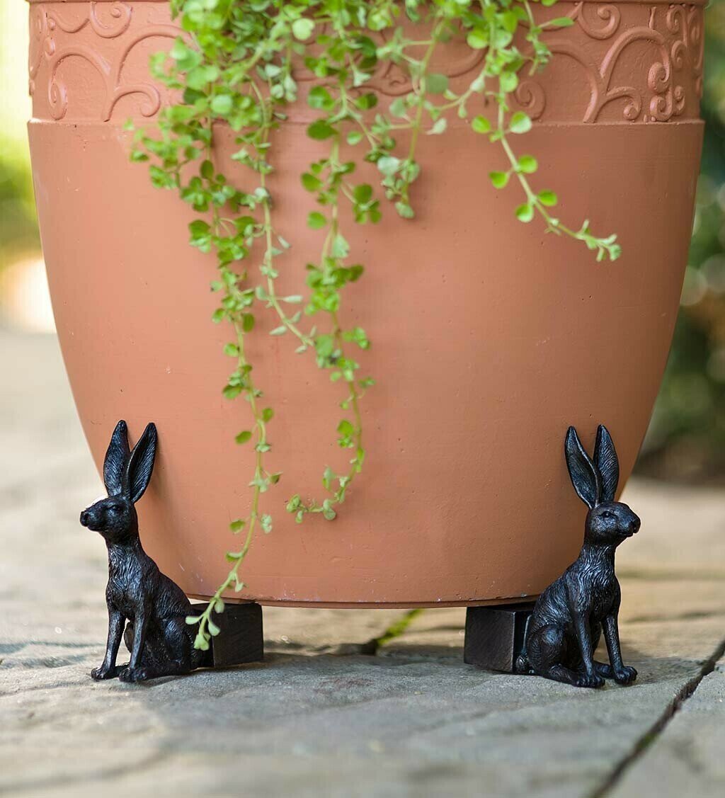Elevate Your Plant Game with Potty Feet Plant Pot Feet