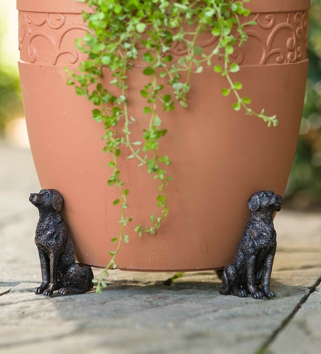 Elevate Your Plant Game with Potty Feet Plant Pot Feet