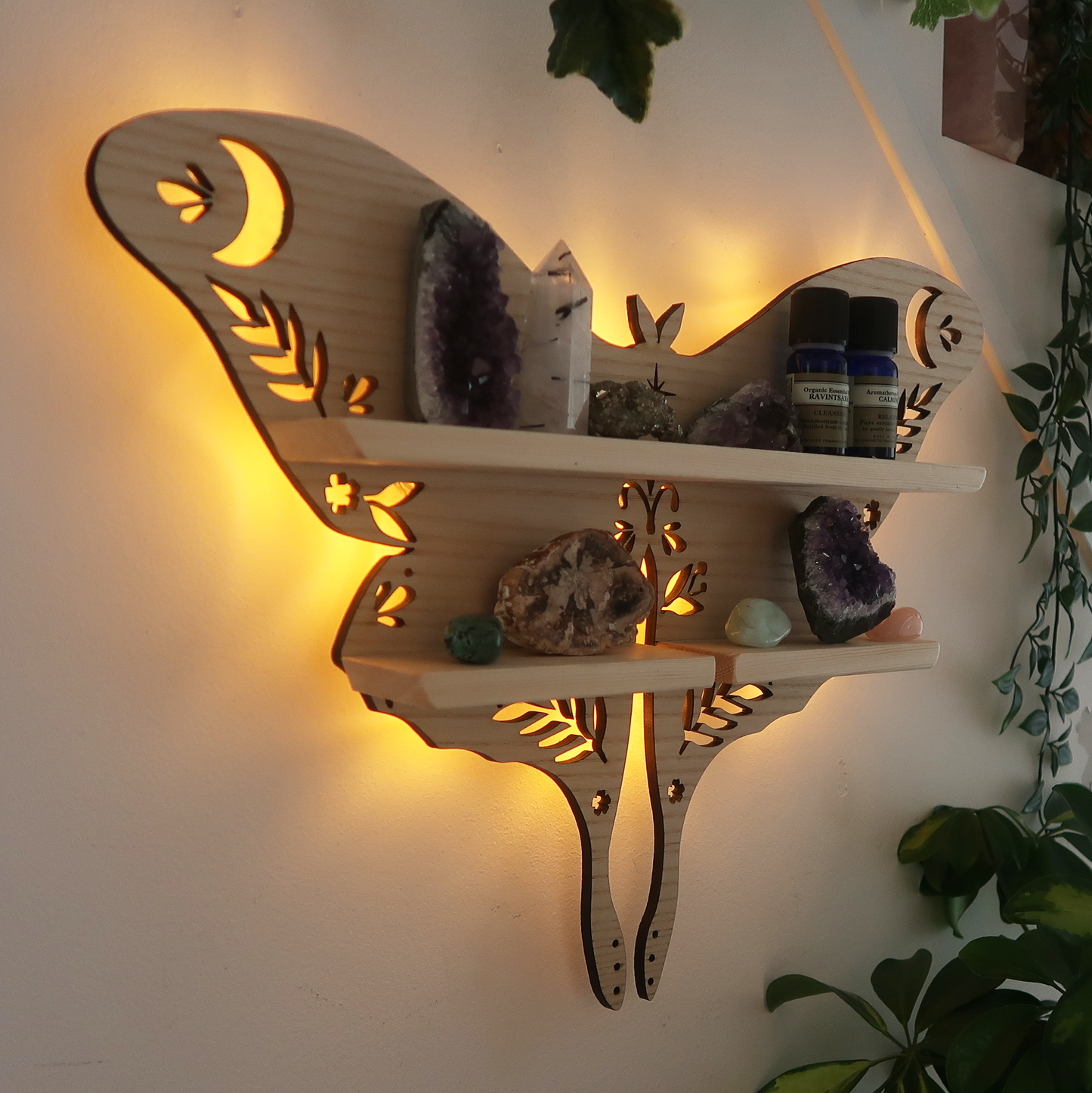 Illuminate Your Space with the Elegant Moth Lamp Crystal Shelf