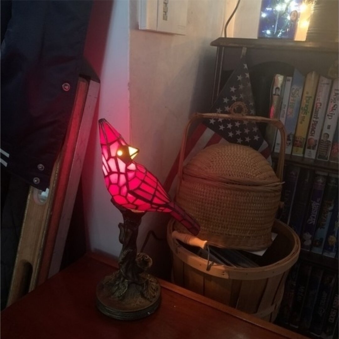 Illuminate Your Home with the Handmade Cardinal Bird Lighted Art Lamp!