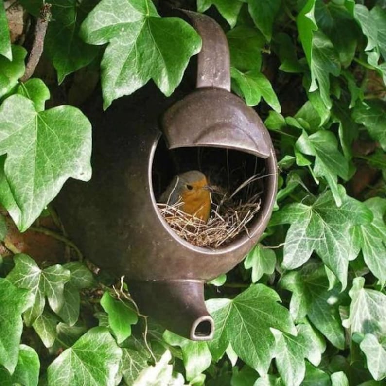 Watering Can Bird Nesters & Houses - Unique Metal Hanging Bird House and Garden Art
